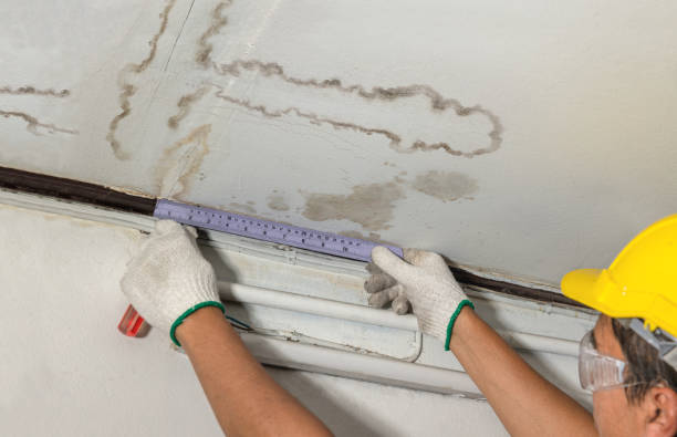 Reliable Emergency Water Damage Restoration contractor in Concord, MA by Water Damage Irwin